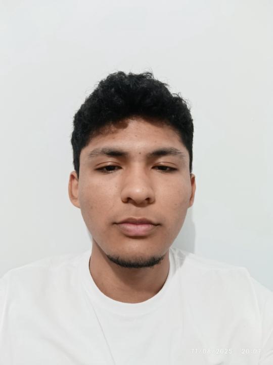 Alessandro Flores