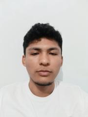 Alessandro Flores