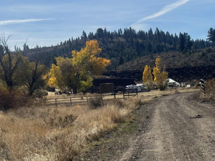 What Do You See Around You?