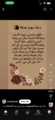 Anab Mahamud