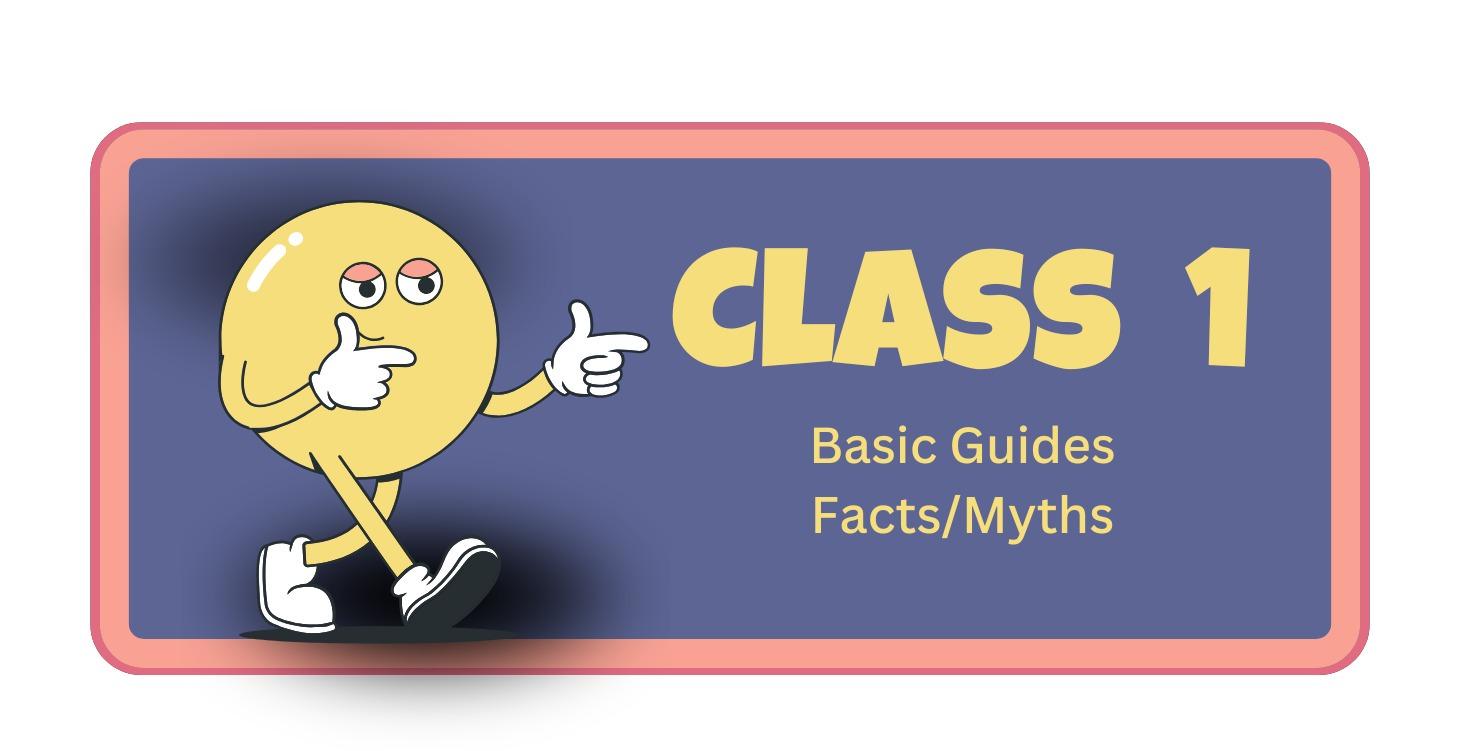 Content Creation: Basics