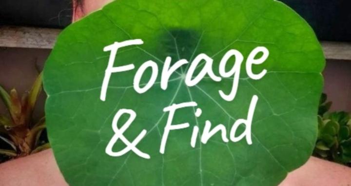 Forage and Find