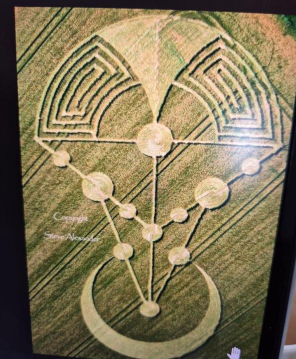 3D development of a crop circle.