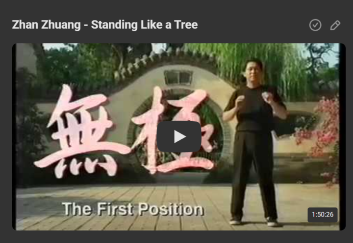 Zhan Zhuang - Standing Like a Tree