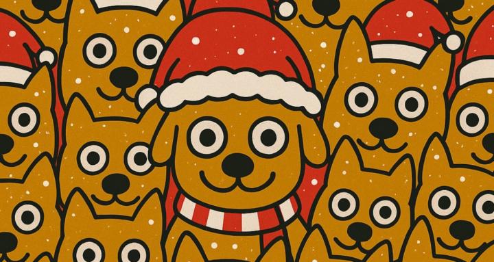 Skool Dogs 🐶🏆❤️🎉