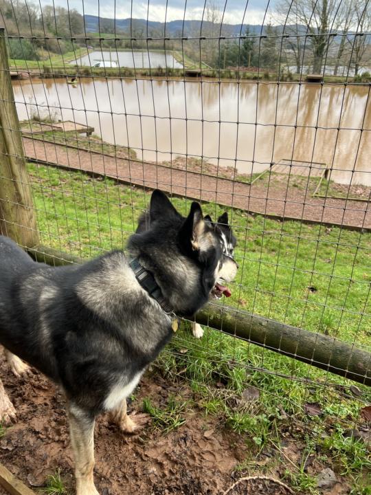 Secure Field Day Today 