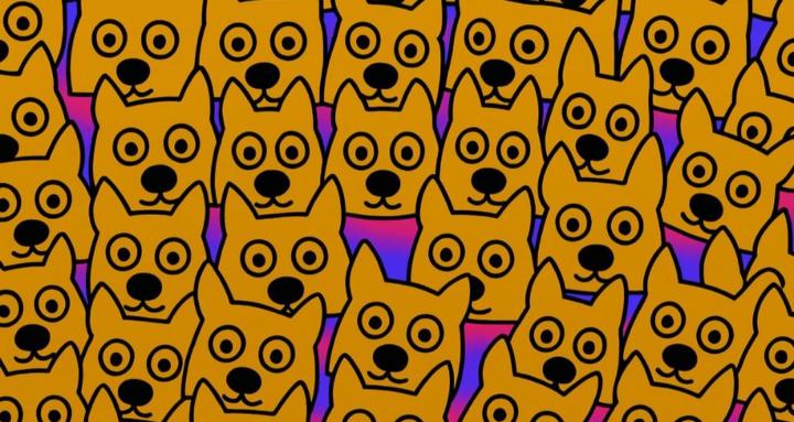 Skool Dogs 🐶🏆❤️🎉