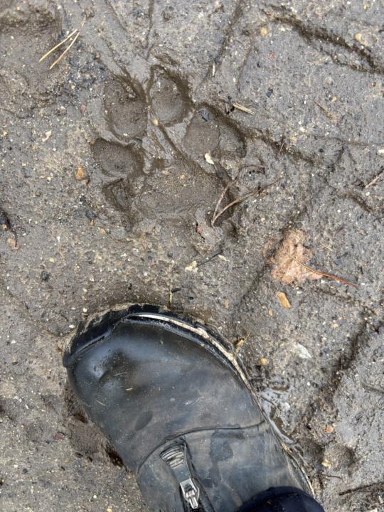 What makes you feel all warm and fuzzy 🐾🐾❤️