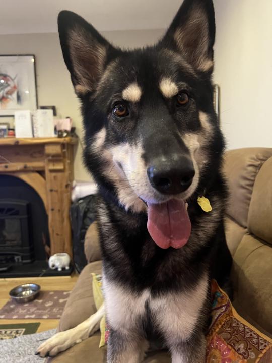 He’s just so lovely 💖