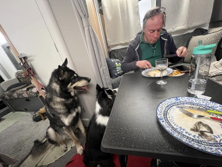 The triumph of hope over experience 