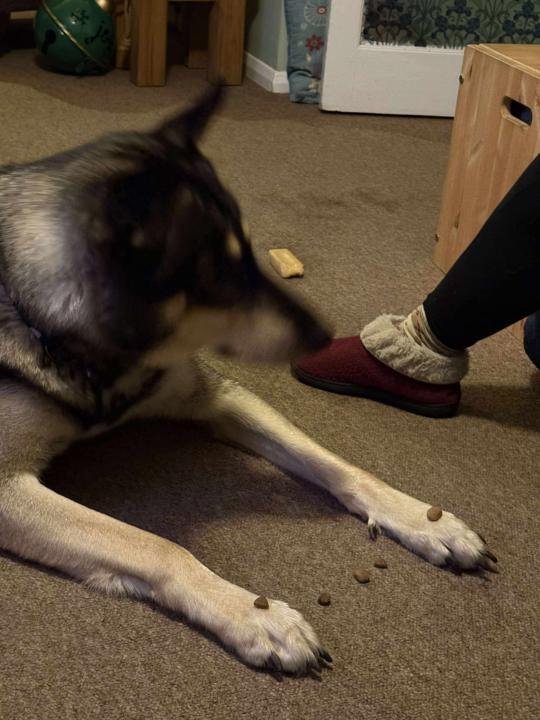 How do you play Buckaroo!!