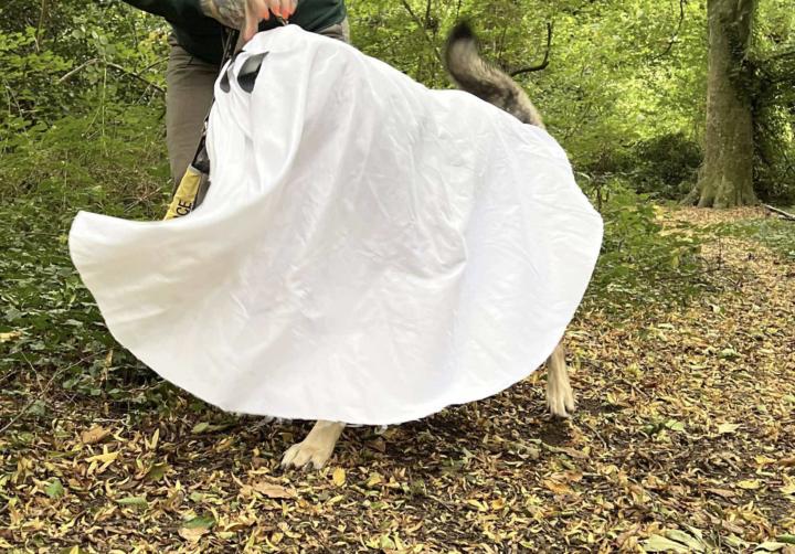 Where’s Leif? I can only see a ghost!!