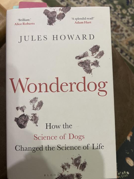 Books and other resources 