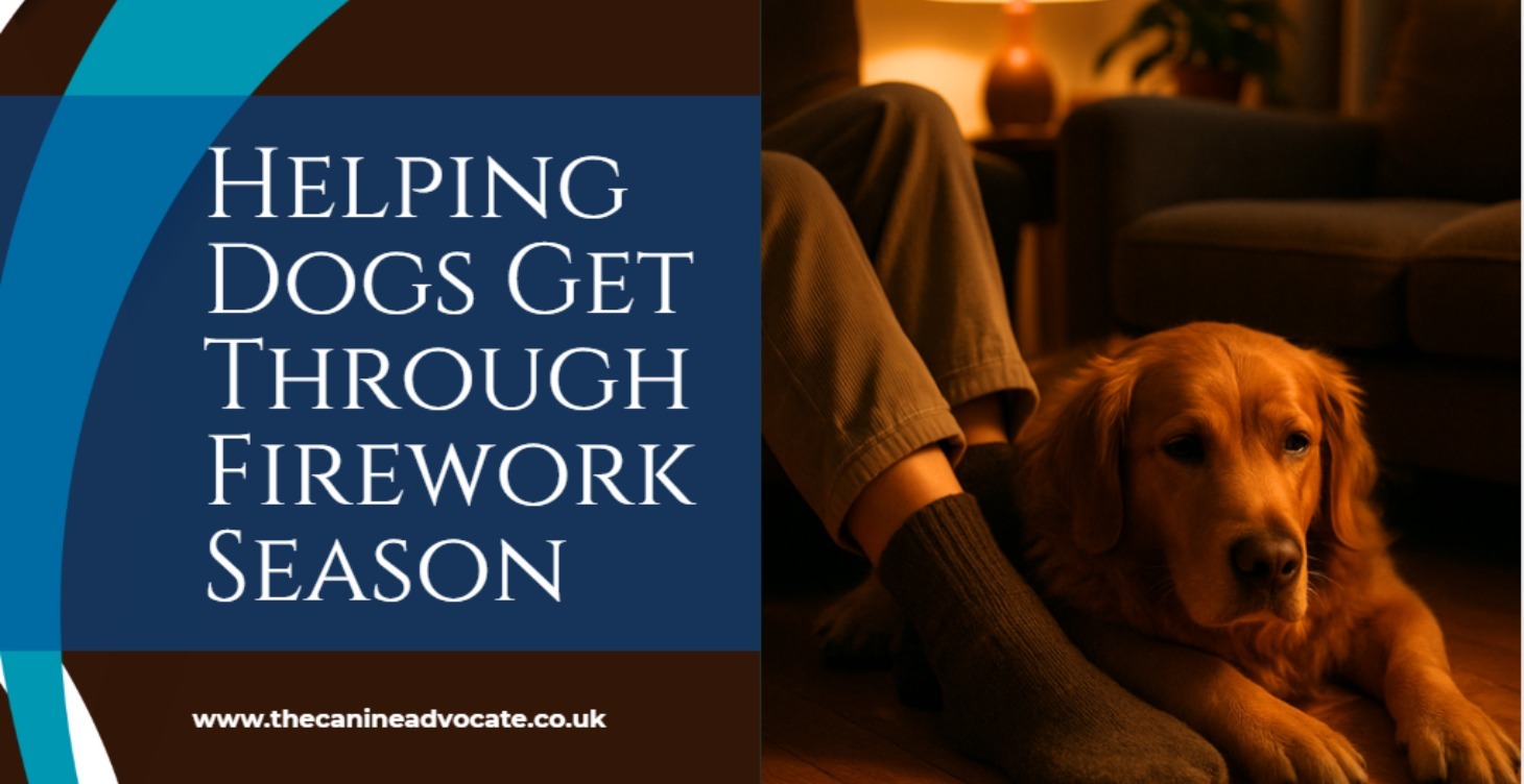 Fireworks: From Fear To Calm