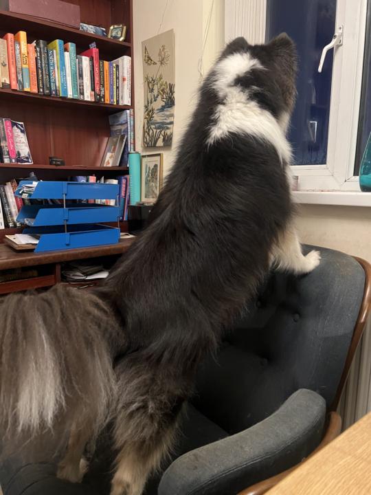 Odd use of furniture 