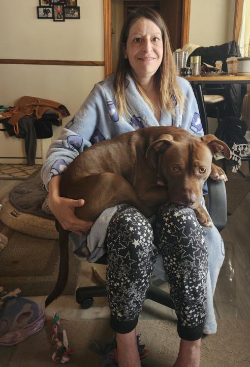 Are all pitbulls lapdogs?
