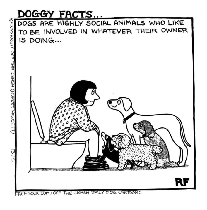 🐶 Personal space breach  