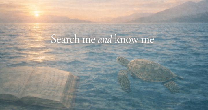 Search me and know me
