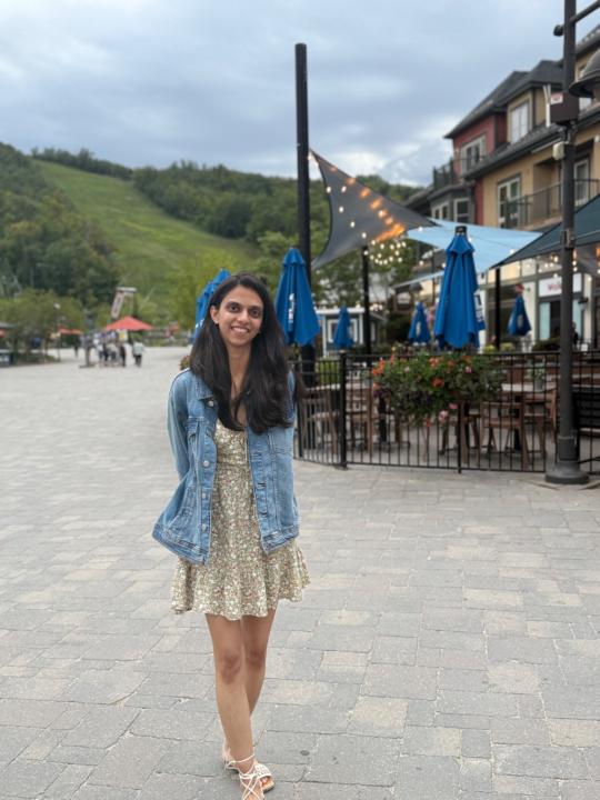 Purti Ladani