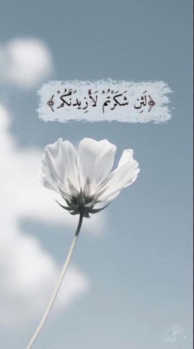 Bader Kilani