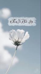Bader Kilani
