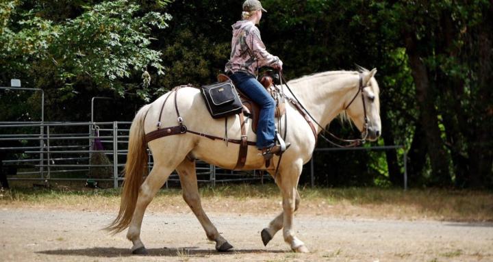 PNW Equestrian Community Hub