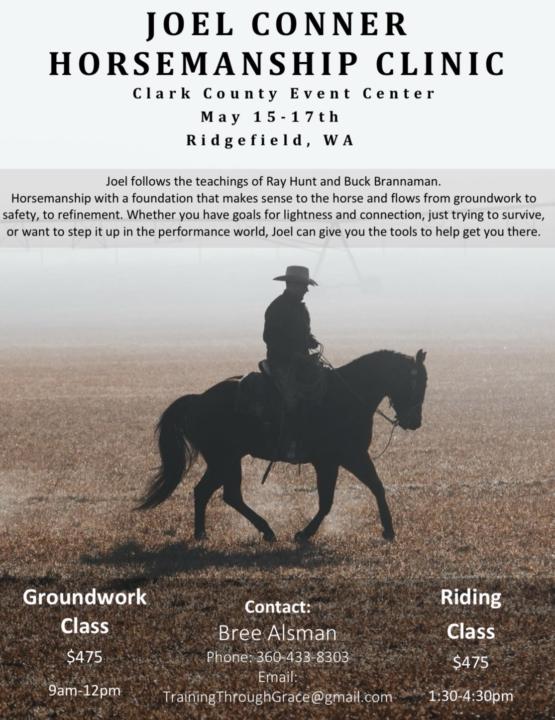 Horsemanship clinic @ Clark County Fair