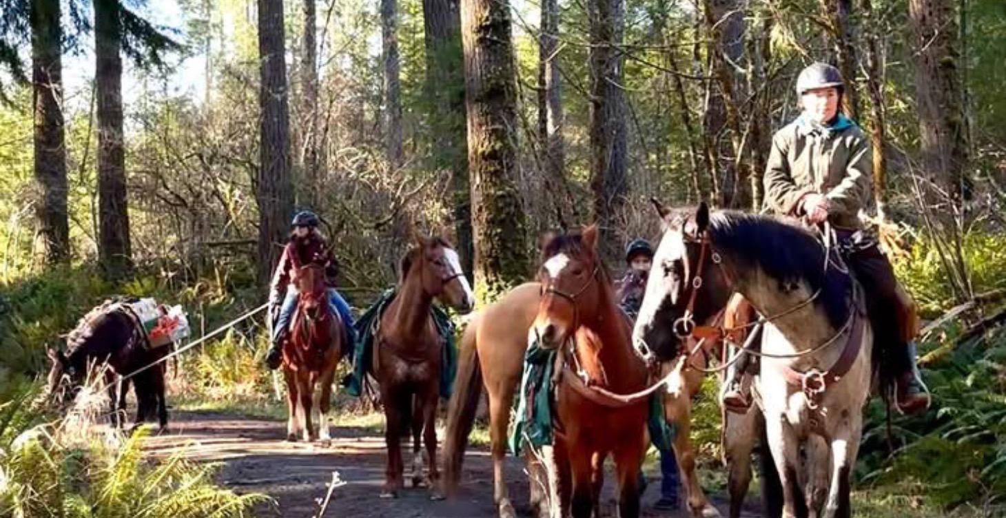 Equestrian events