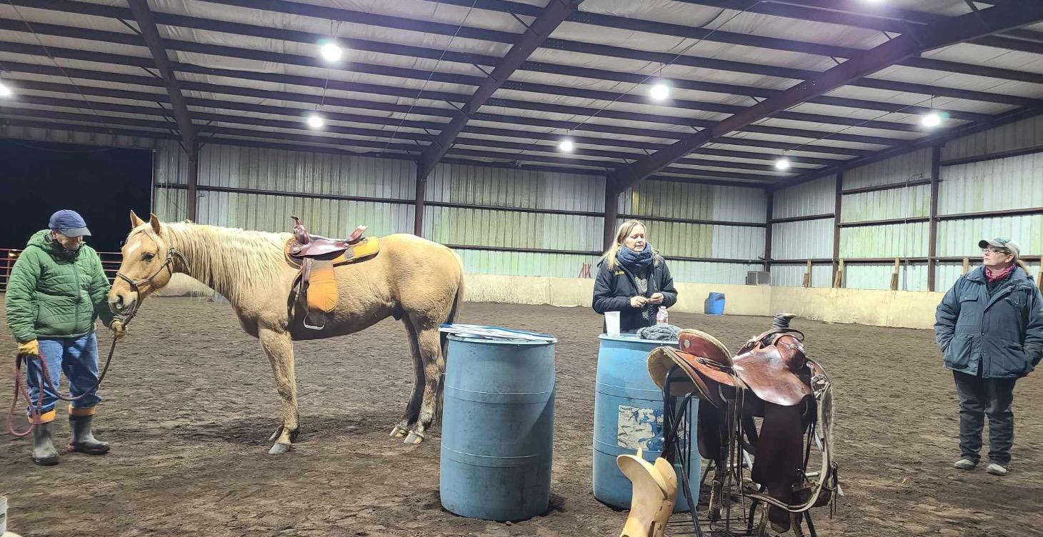 Saddle Fitting