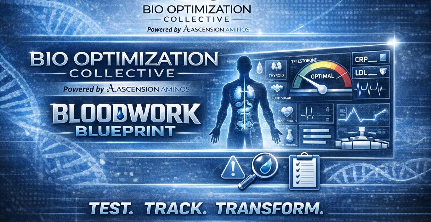 THE BLOOD WORK BLUEPRINT