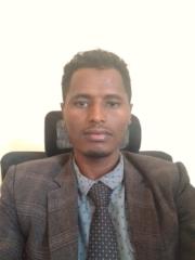 Dawit Gebul