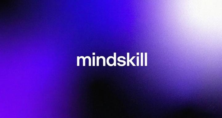 Mindskill argentina