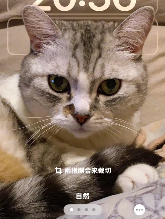 林妤宸 林
