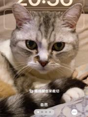 林妤宸 林