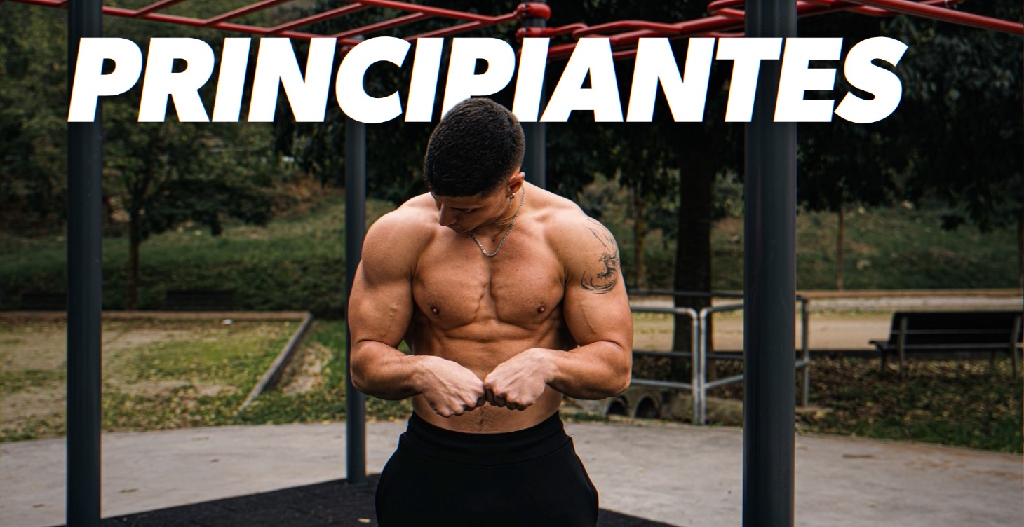Plan de Entrenamiento - Principiantes