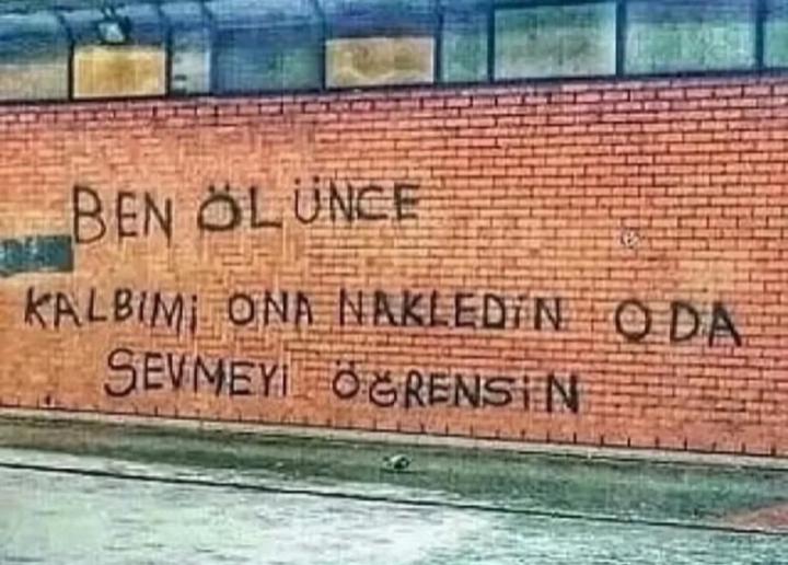 Muhteşem Yasemen Erduran