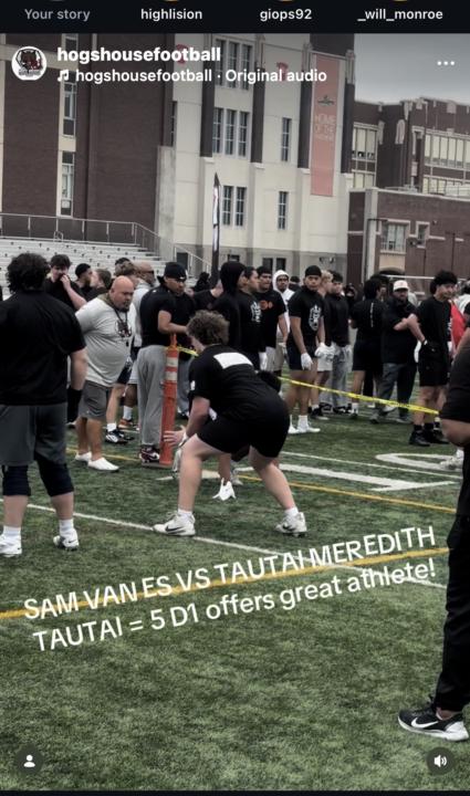 RECRUITING HOGS HELP 