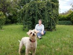 Margaret Blessington