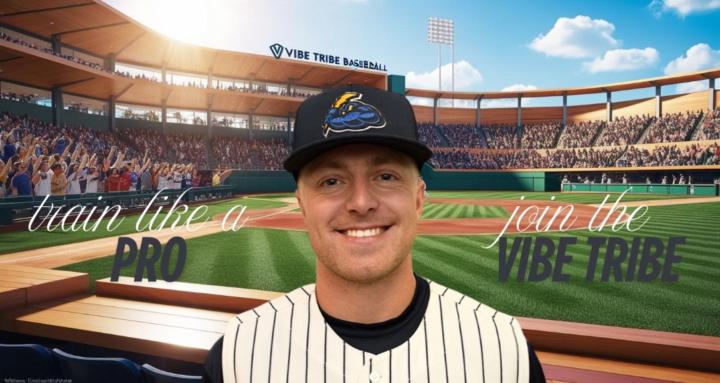 Vibe Tribe Baseball Training