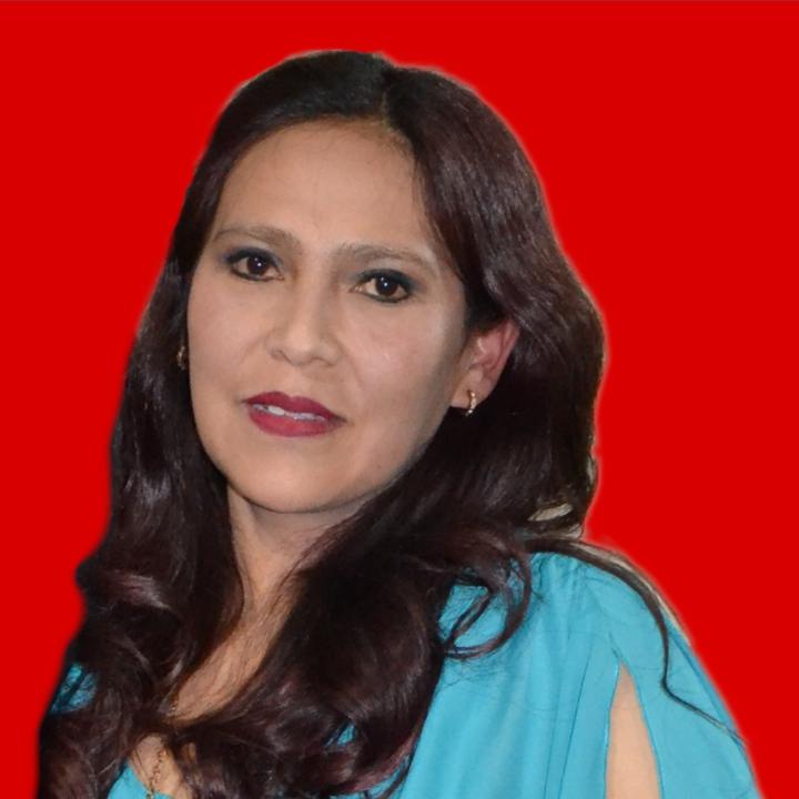 Lisset Lopez carrasco