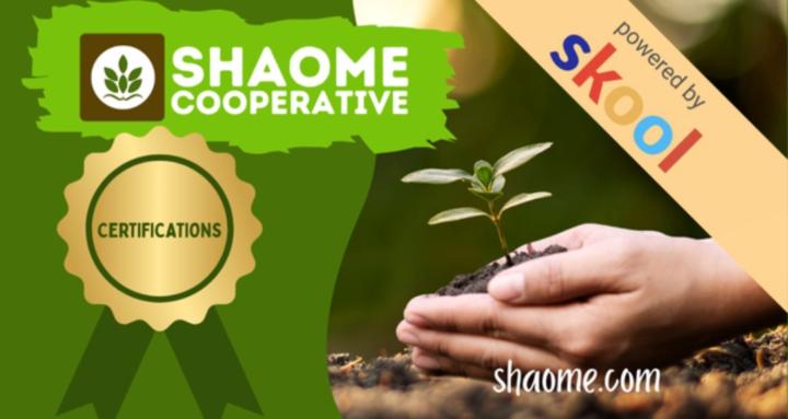 Shaome Certifications