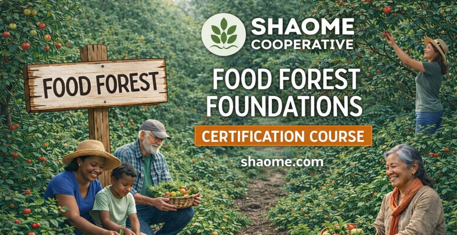 Food Forest Foundations Certification