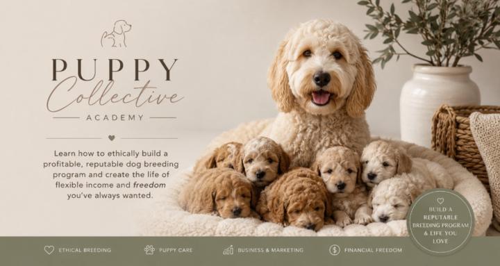 The Puppy Collective