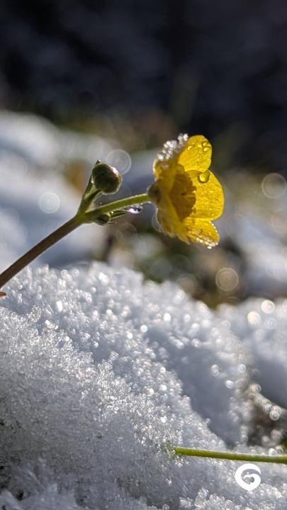 Gestern ☀️ Heute ❄️