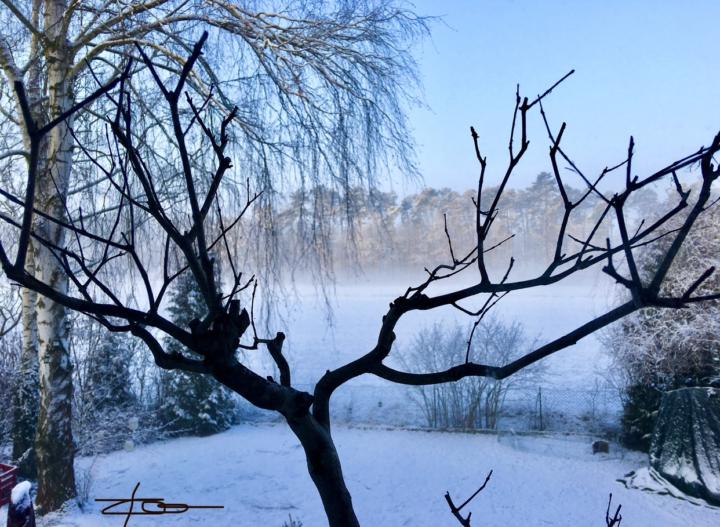 Schnee Grüße ❄️❄️❄️