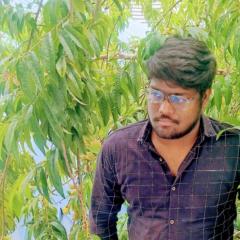 Issac RajaSekar E