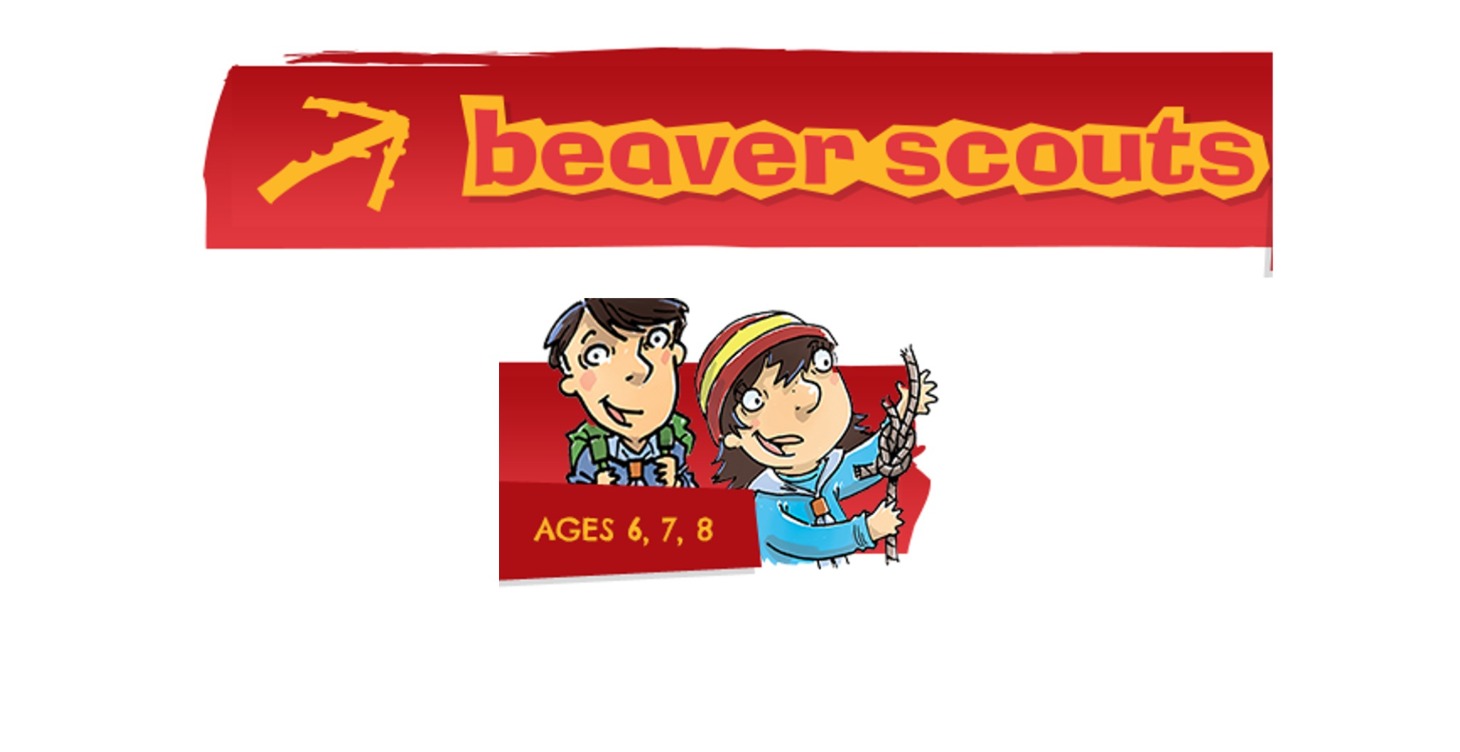 Beaver Programme Ideas