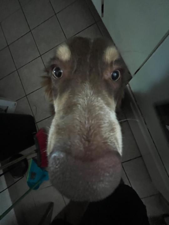 Isaias Lozada Figueroa