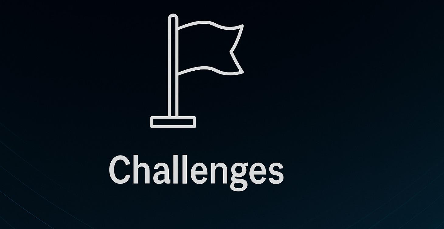 8. Challenges