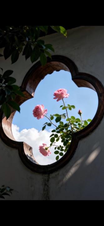 اميره العمري